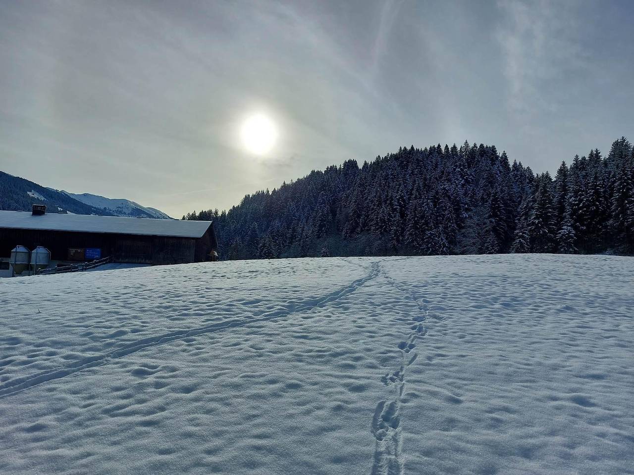 Zweibettzimmer, Bad, Wc, Bergseite in Wildschönau, Kaisergebirge