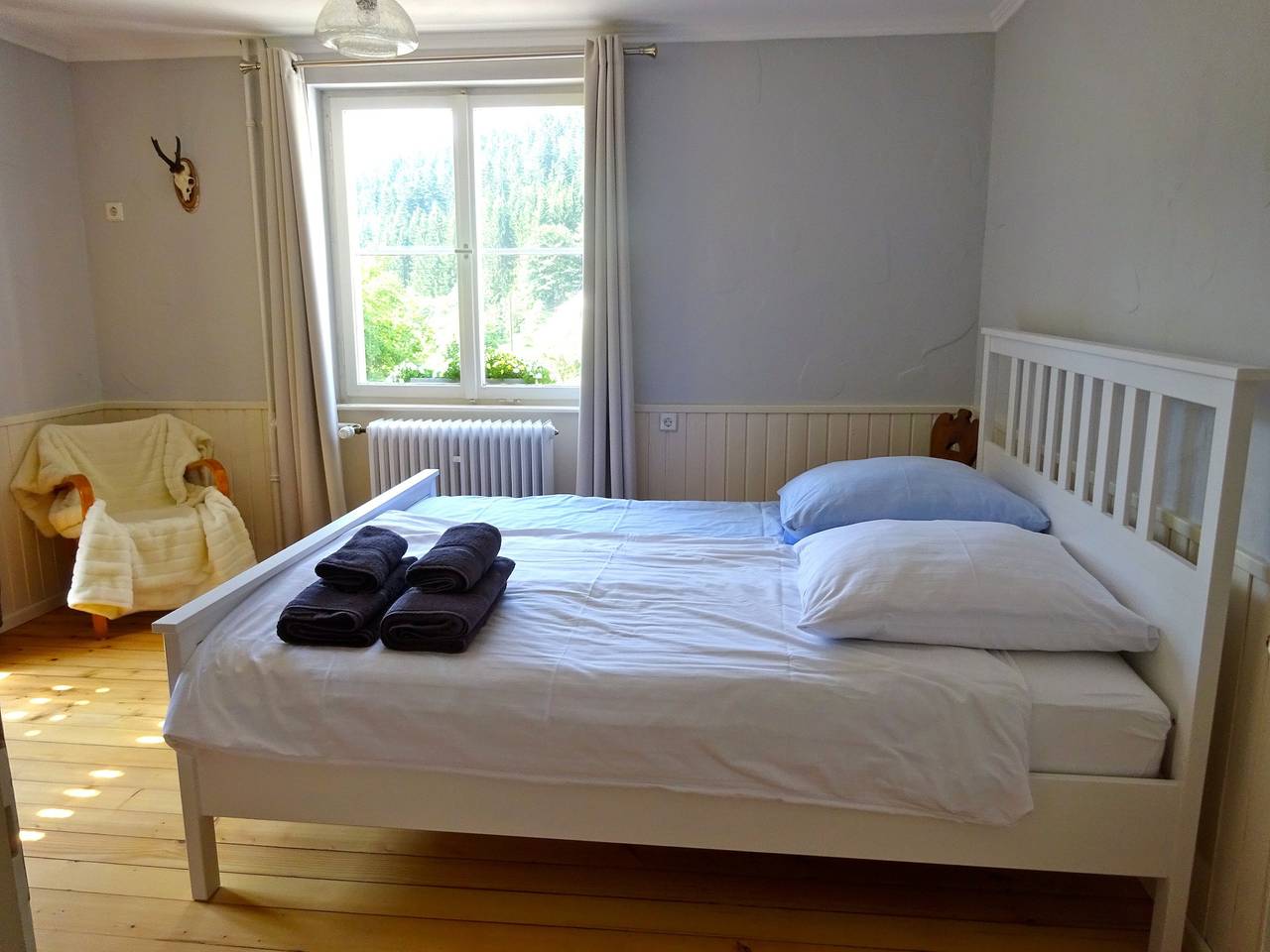 Ganze Wohnung, Ferienwohnung 'Moonshine 79' mit Bergblick in Dachsberg, Südschwarzwald