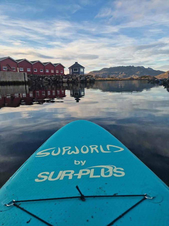 Hotel für 3 Personen, mit Terrasse und Ausblick, mit Haustier - 1