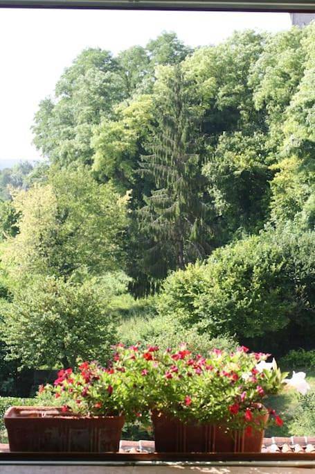 Location de vacances pour 6 personnes, avec Balcon ainsi que Terrasse et Vue à Aubeterre-sur-Dronne