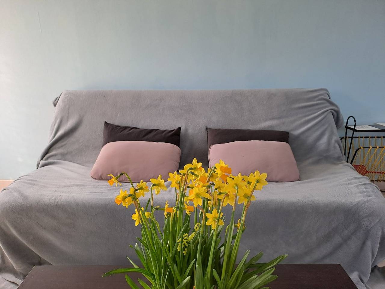 Gîte du Pontet in Saint-André-sur-Vieux-Jonc, Région de Bourg-en-Bresse