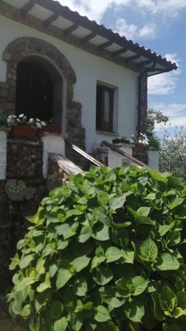 Casa rural para 4 personas, con vistas y jardín, Se admiten mascotas en Colunga - 4