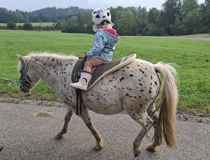 Ferienwohnung für 4 Personen, mit Garten und Ausblick sowie Sauna in Waltenhofen - 3
