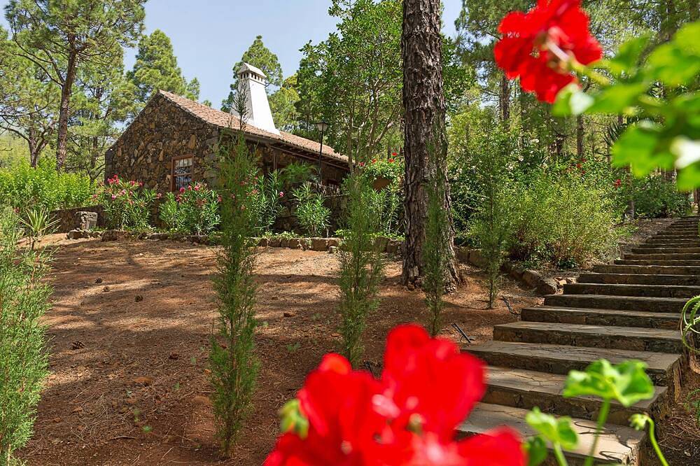 Idyllic volcanic stone chalet in a pine grove on the edge of the national park in El Paso (La Palma), La Palma South