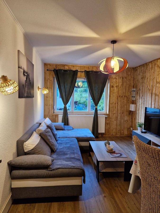 Appartement entier, Appartement cocooning in Schirmeck, Bas-Rhin Alsace