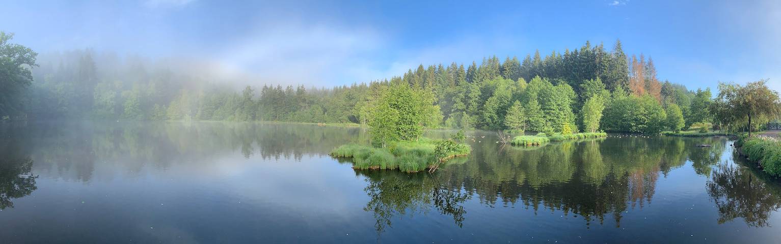 Gîte pour 17 personnes, avec terrasse et jardin, animaux acceptés dans Lorraine - 3