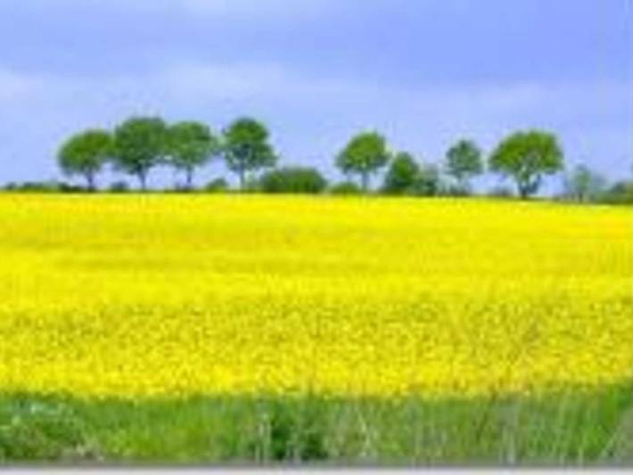 Ferienwohnung für 4 Personen, mit Terrasse und Garten, kinderfreundlich in Hasselberg - 4