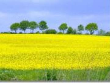 Ferienwohnung für 4 Personen in Schwackendorf, Hasselberg, Bild 3
