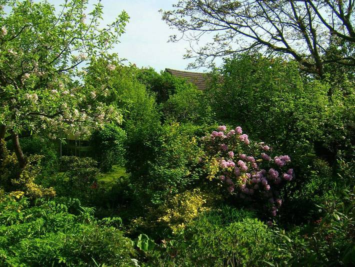 Ferienhaus für 4 Personen, mit Garten in Senftenberg - 3