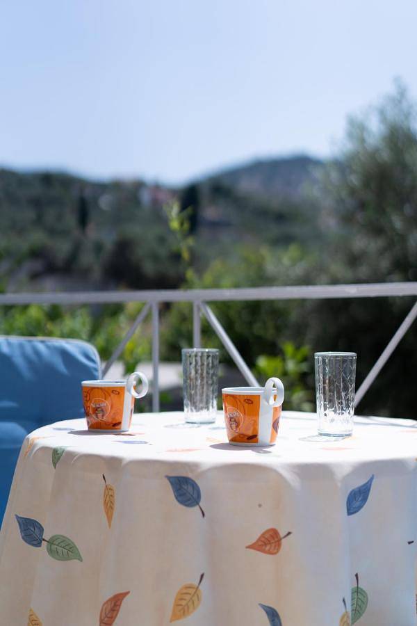 Elegant Sea View Garden 3-bedroom Villa - Private Garden - Private Parking in Vareia, North Aegean Islands
