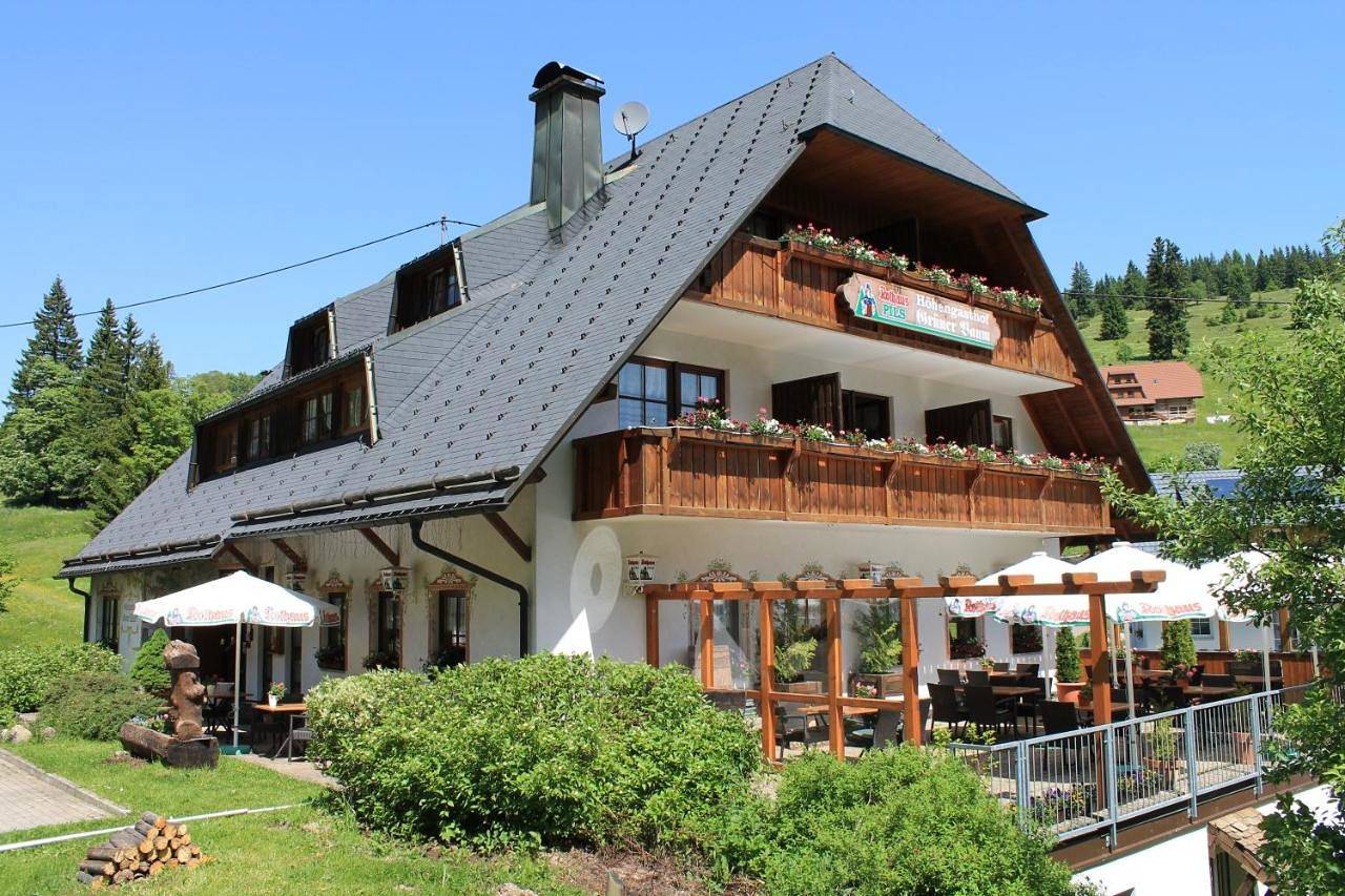 Hotel & Restaurant Grüner Baum - Die Grüne Oase Am Feldberg in Altglashütten (Feldberg), Feldberg