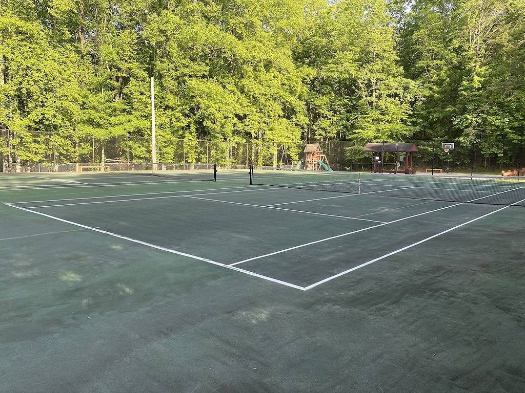 Nellie's Place- Quiet Mtn. Getaway with Scenic View, Wifi, & Community Amenities in Cherry Log, Chattahoochee National Forest