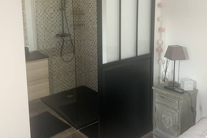 Maison d’hôte pour 3 personnes, avec jardin à Blois - 4