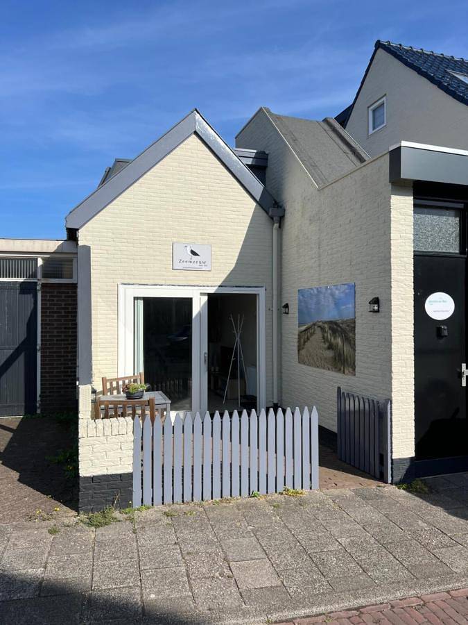 Zeemeeuw aan Zee in Egmond, Egmond aan Zee