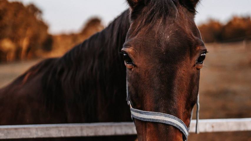 Apartamento de vacaciones para 4 personas, con terraza - 1