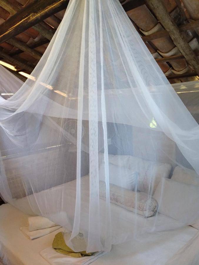 Location de vacances pour 2 personnes, avec jardin et terrasse, animaux acceptés à Trancoso - 2