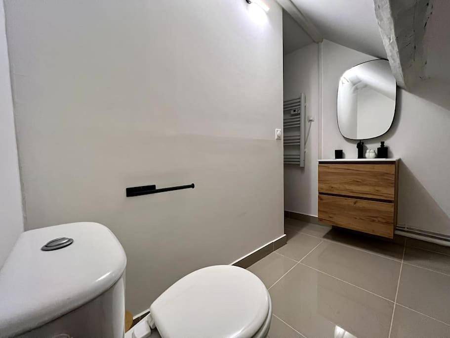 Appartement entier, One-Bedroom Apartment in Souppes-sur-Loing, Seine-et-Marne
