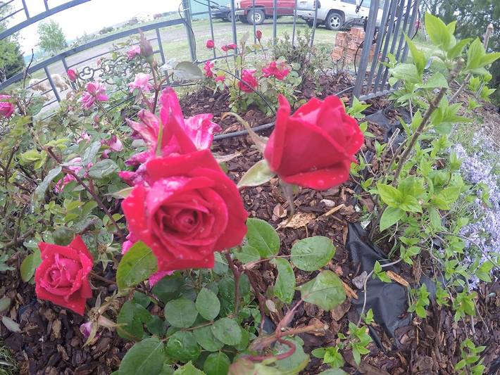 Ferienwohnung für 7 Personen, mit Whirlpool und Garten - 1