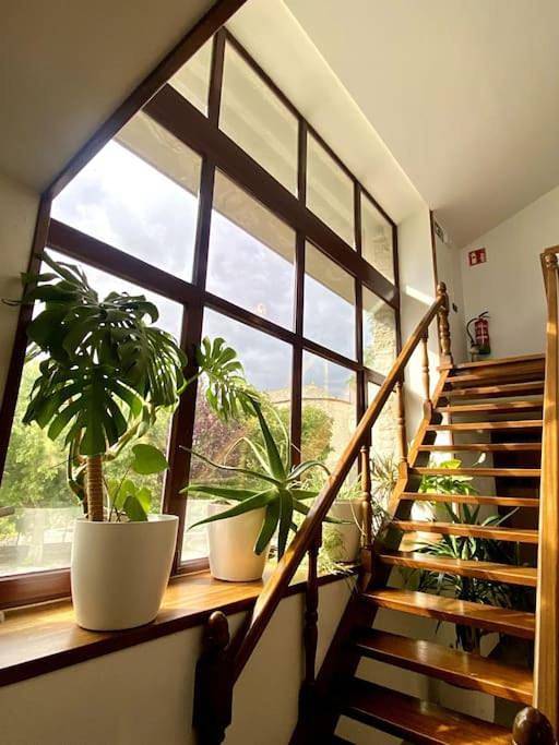Casa rural para 6 personas, con Balcón y Terraza además de Jardín y Vistas en Cuenca de Pamplona - 3