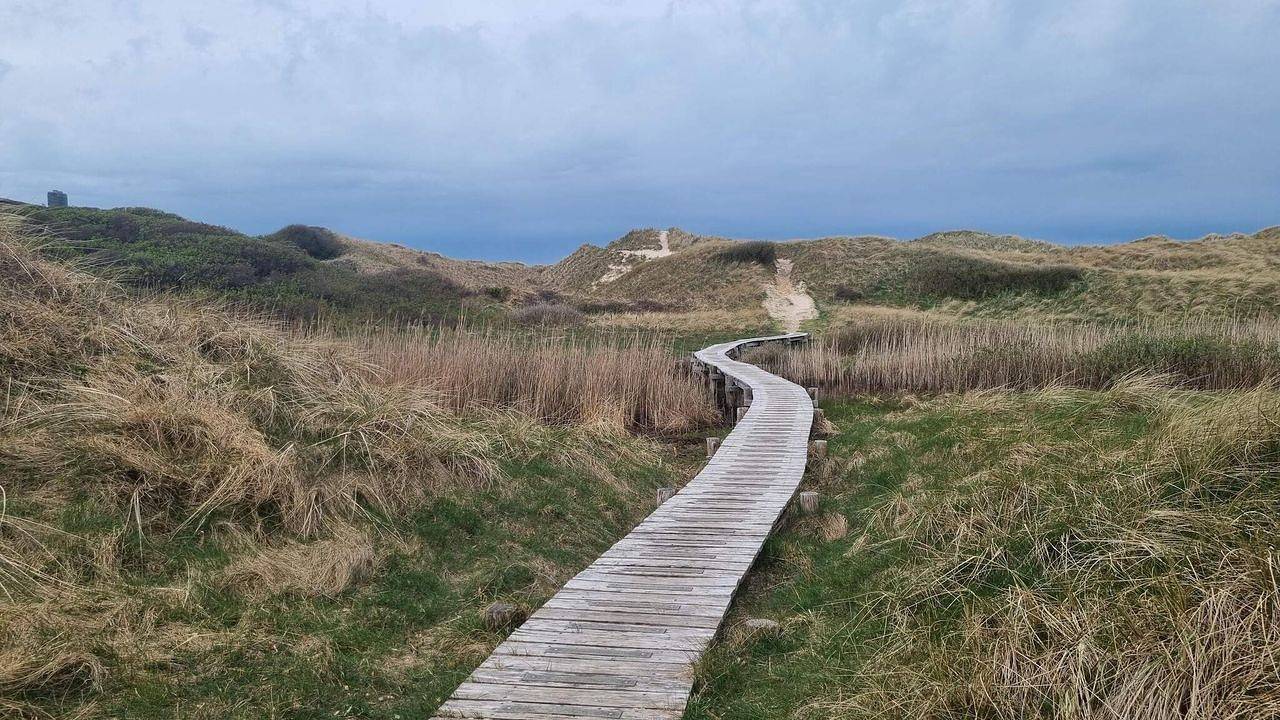 Ferienhaus für 6 Personen (95 m²) in Blokhus in Hune, Jammerbugt
