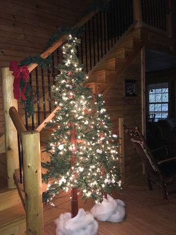 Glamping for 4 Guests in Blount County, Picture 3