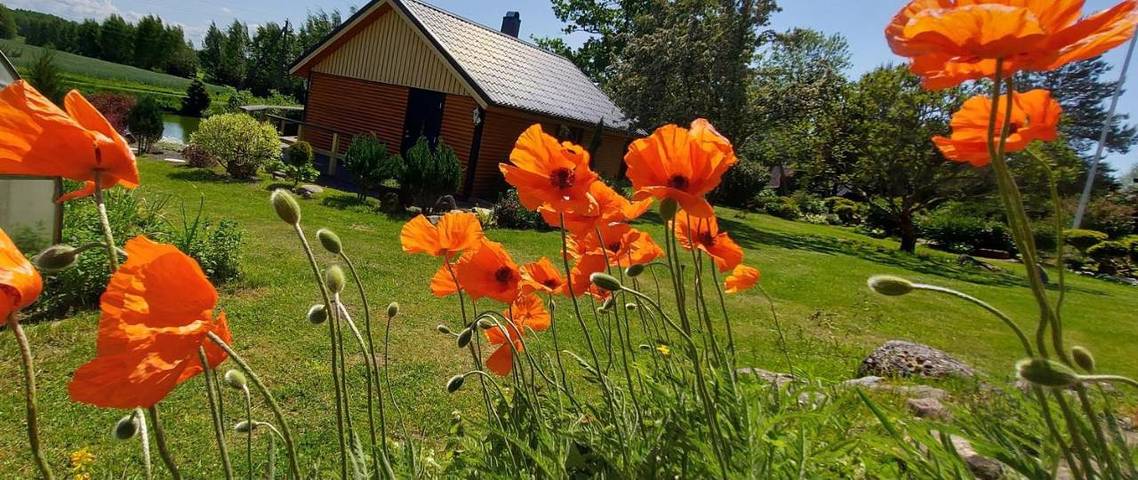 Vakantiewoning voor 4 personen, met tuin en sauna in Estland