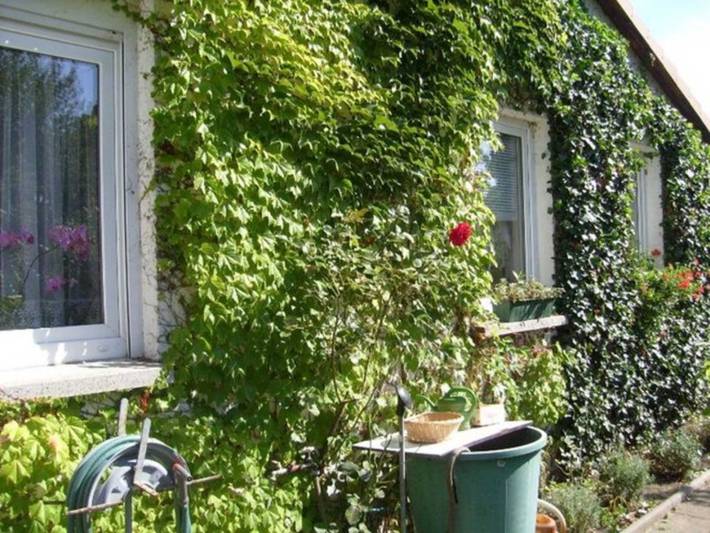 Ganze Ferienwohnung, Ferienwohnung Mirow - Ferienwohnung in Strandbad Mirow, Mirow