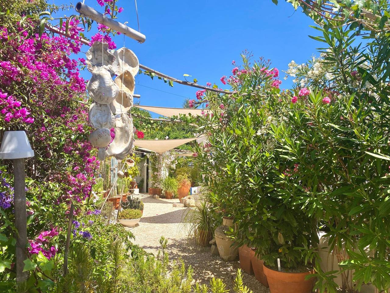 Vila Verão Nur für Erwachsene in Santa Bárbara de Nexe, Faro (Portugal)