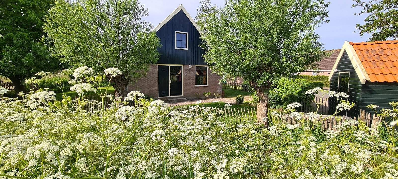 Ruhiges Ferienhaus für 6 Personen mit umzäuntem Garten und Holzofen Nähe der Nordseeküste in Niederländische Nordsee