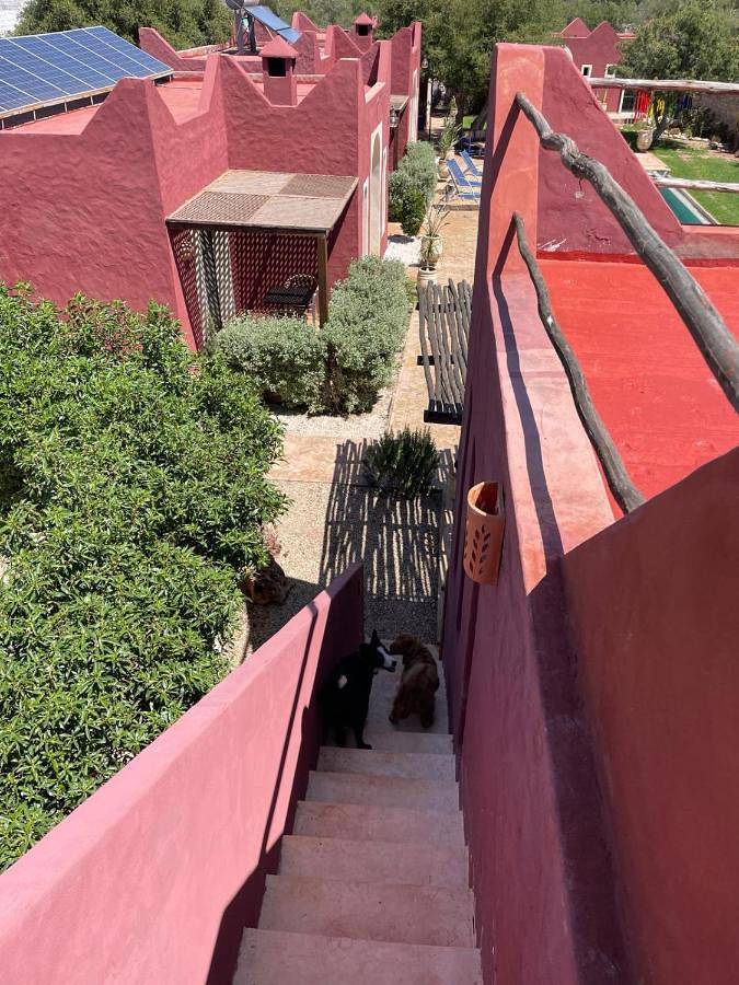 Maison d’hôte pour 3 personnes, avec jardin et piscine ainsi que vue et bassin pour enfant dans Ghazoua - 4