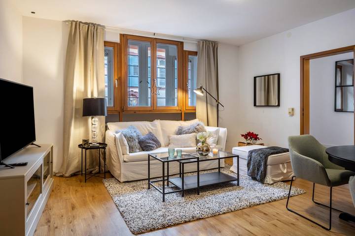 Geheel appartement, Vakantieappartement 'Gasthaus Zum Kranz', kleine honden welkom! in Altstadt (Freiburg), Freiburg