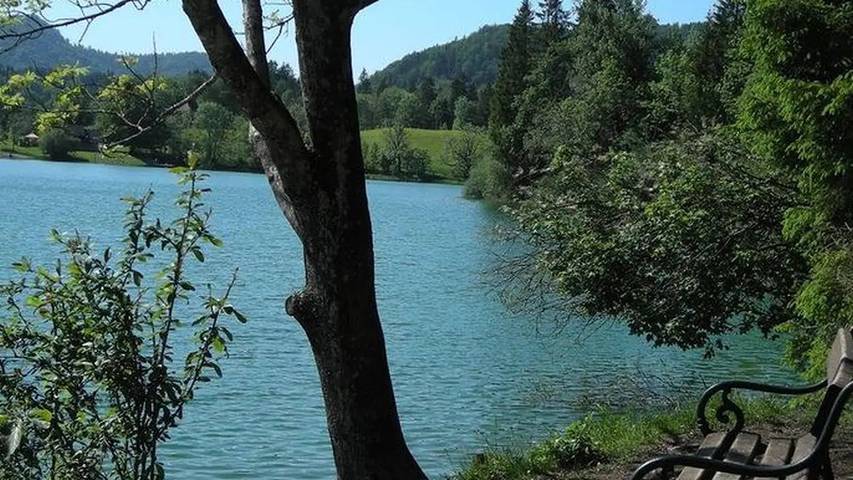 Ferienwohnung für 6 Personen, mit Garten im Salzburger Land - 3