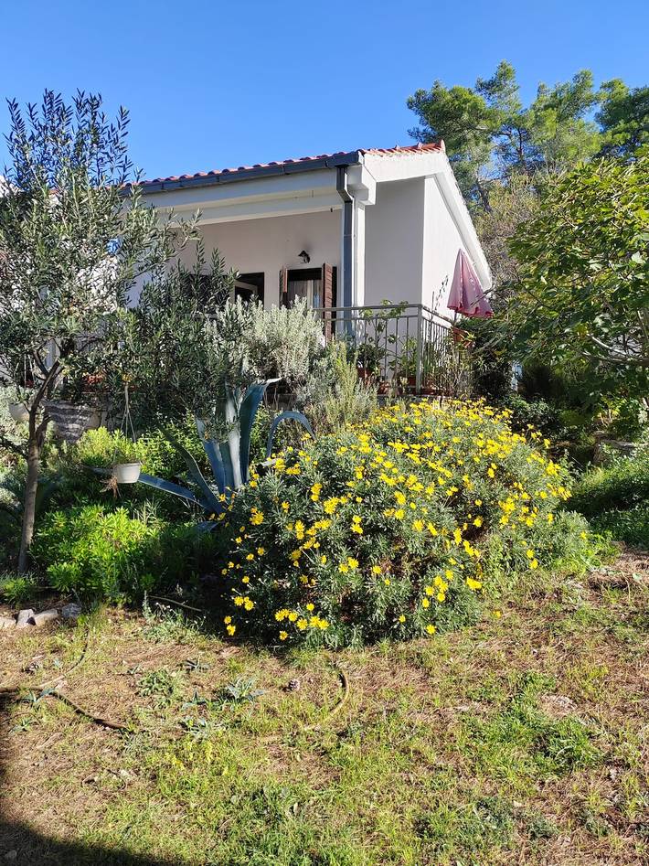 Ferienhaus für 2 Personen, mit Balkon/Terrasse auf Solta - 4