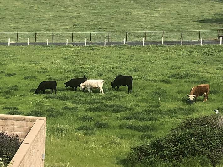 Barn for 10 people, with hot tub and yard in Sequoia National Park