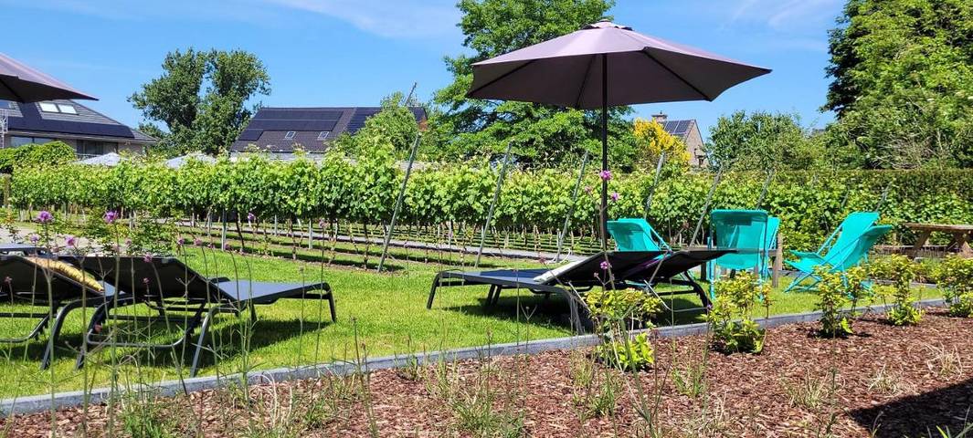 Gîte pour 5 personnes, avec jardin et vue à Termonde - 3