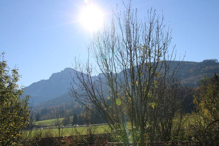 Ganze Ferienwohnung, Ferienwohnung Pickl - Anna-Maria Pickl - Appartment 20 qm, verkehrsgünstige Lage, 2 Personen, Terrasse in Anger, Bayerische Alpen