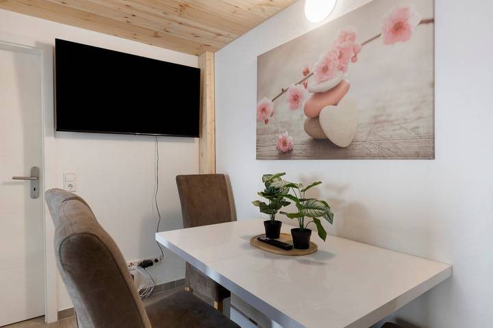 Ganze Wohnung, Apartment „Monteure Wohnung Cristina“ mit privater Terrasse und Wlan in Rielasingen-Worblingen, Hegau