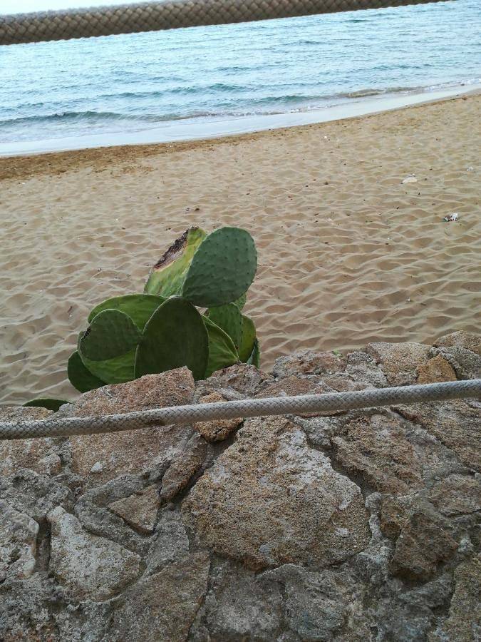 Chambre d’hôte pour 2 personnes, avec jardin et vue, animaux acceptés en Sicile - 3