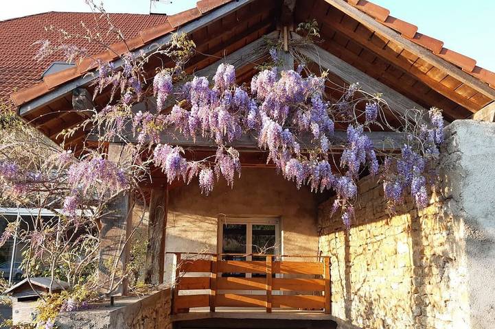 Gîte pour 4 personnes, avec terrasse, animaux acceptés dans Mésandans