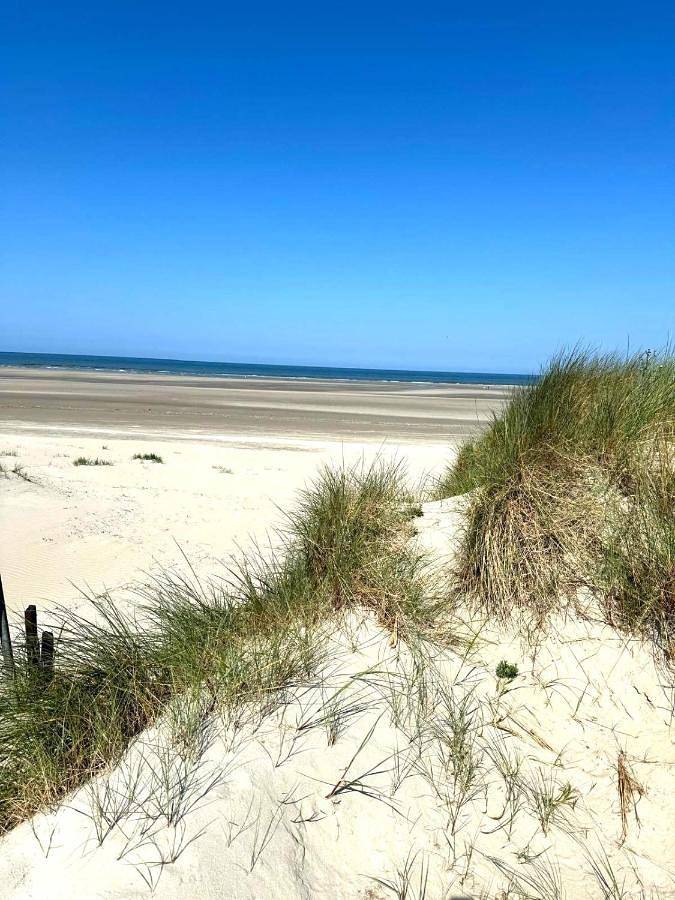 Camping pour 11 personnes, avec jardin et terrasse, animaux acceptés