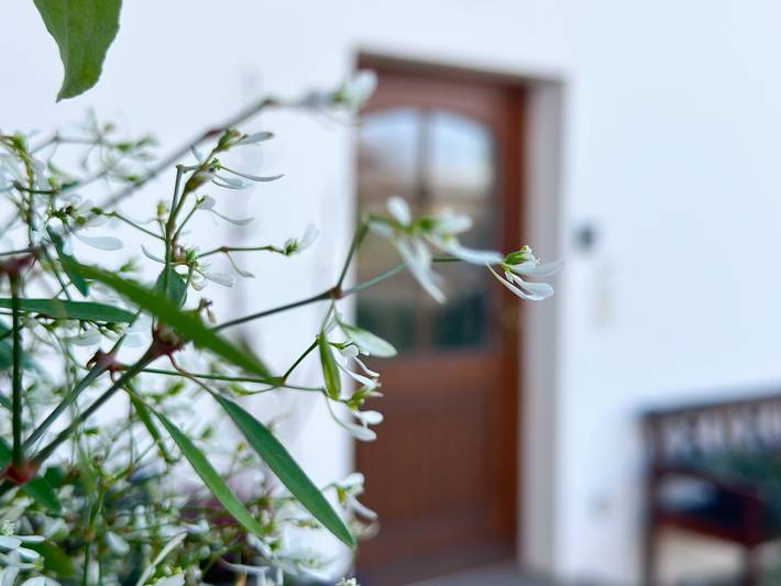 Ferienwohnung für 4 Personen, mit Balkon und Balkon/Terrasse, kinderfreundlich in Marquartstein - 3