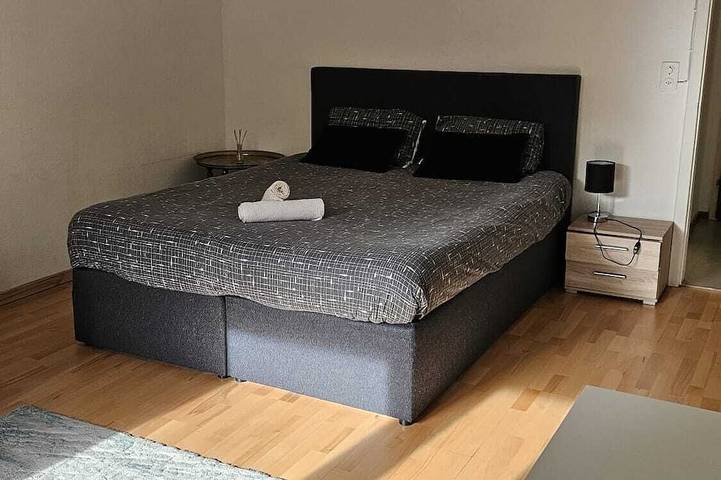Ferienwohnung für 3 Personen, mit Haustier in Basel - 2