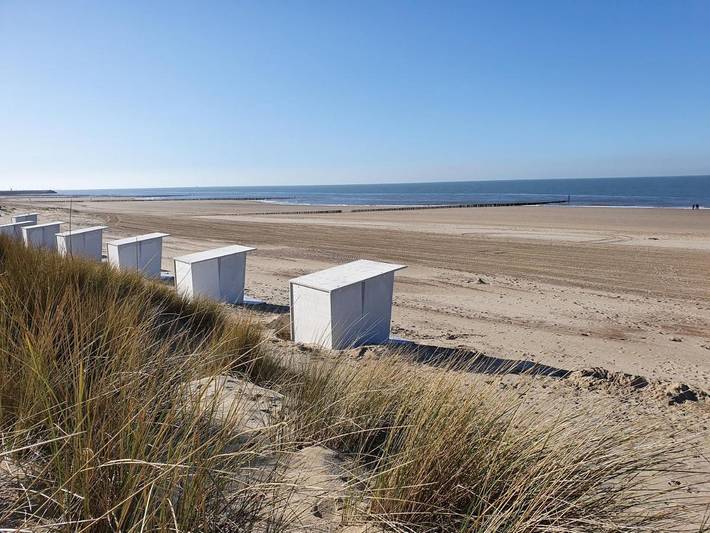 Location de vacances pour 6 personnes, avec jardin et sauna, animaux acceptés à Cadzand - 4