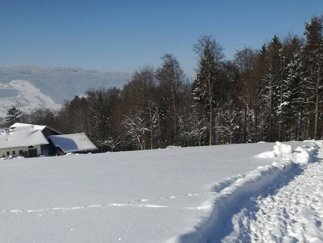 Bio Bauernhof Mondsee Schafleitner-Kroiß - Dachsteinblick in Salzkammergut-Berge, Mondsee & Irrsee