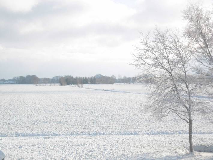 Ferienwohnung für 4 Personen, mit Garten und Terrasse in Worpswede - 4