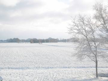 Ferienwohnung für 4 Personen in Worpswede, Niedersachsen, Bild 3
