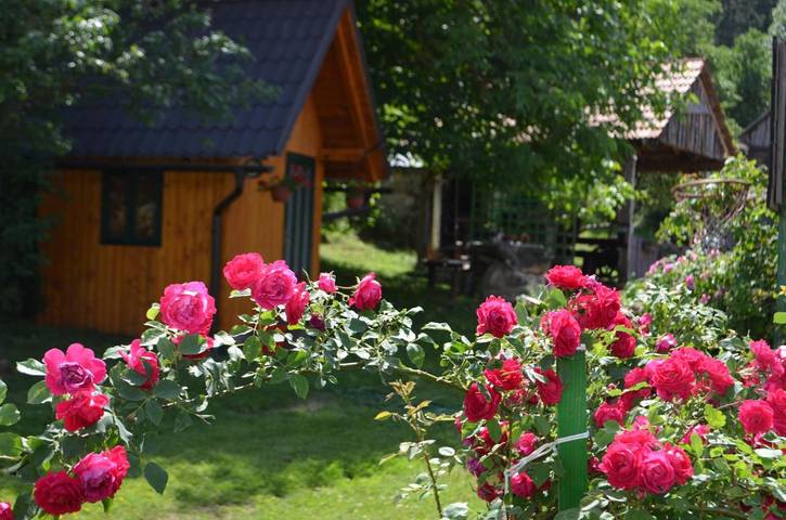 Ferienwohnung für 3 Personen, mit Terrasse und Garten, mit Haustier