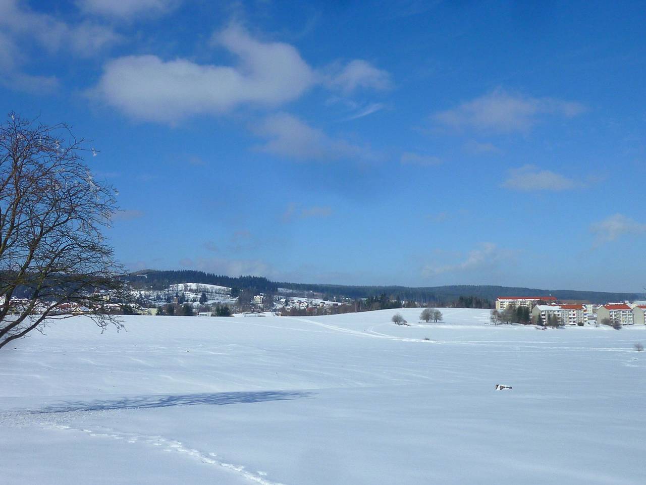 Ganze Ferienwohnung, Ferienwohnung Rennsteigblick in Tambach-Dietharz, Rennsteig