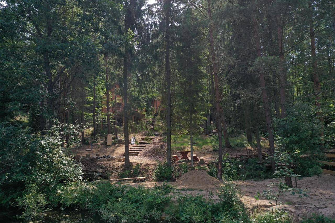 Lasoterapia (Foresttherapy) in Powiat wejherowski