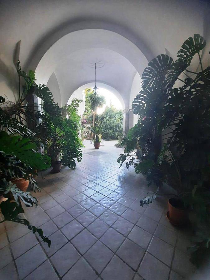 La casa delle Camelie in Meta, Sorrento Coast